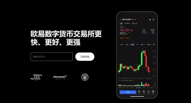 o易官方网站入口系统展示图